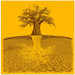 Baobab Mythical Roots Deeper Yellow (h) by Carlo Kaminski Square Canvas Print Art for Modern Home Decor. Decorate your office or living room with canvas artwork