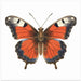 Butterfly 49 by Bilge Paksoylu Square Canvas Print Art for Modern Home Decor. Decorate your office or living room with canvas artwork