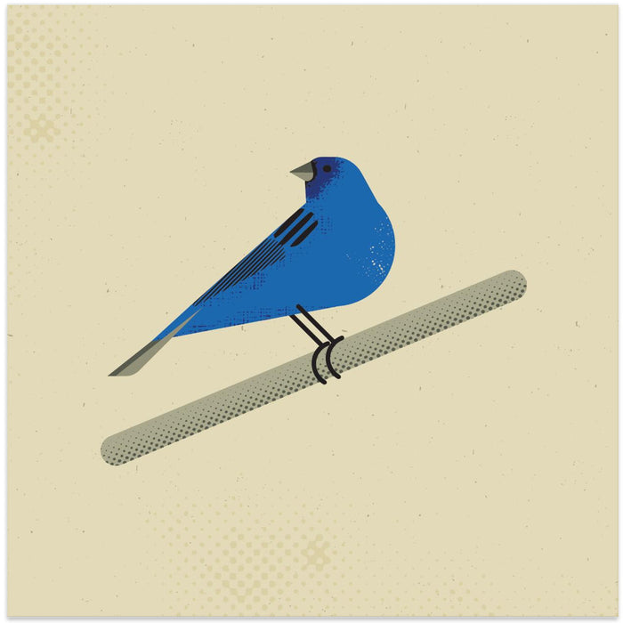 Indigo Bunting by Vision Grasp Art Square Canvas Print Art for Modern Home Decor. Decorate your office or living room with canvas artwork
