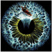 Lost In Your Eye Aquatic by Alirıza ÇAKIR Square Canvas Print Art for Modern Home Decor. Decorate your office or living room with canvas artwork