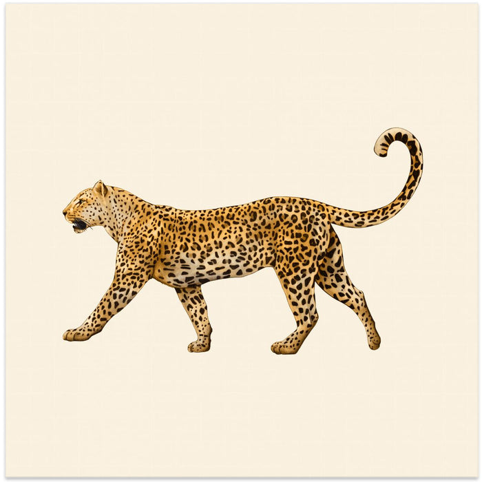 Leopard by Giulia Borsi Square Canvas Print Art for Modern Home Decor. Decorate your office or living room with canvas artwork