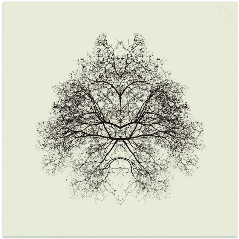 Rorschach Test by Nadav Jonas Square Canvas Print Art for Modern Home Decor. Decorate your office or living room with canvas artwork