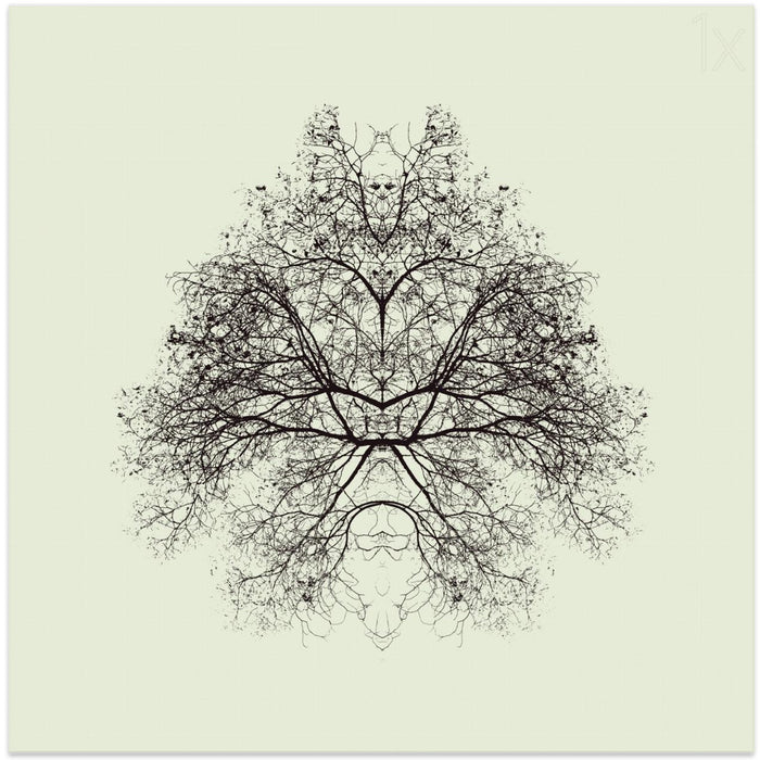 Rorschach Test by Nadav Jonas Square Canvas Print Art for Modern Home Decor. Decorate your office or living room with canvas artwork