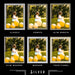 28x33 Silver Picture Frames